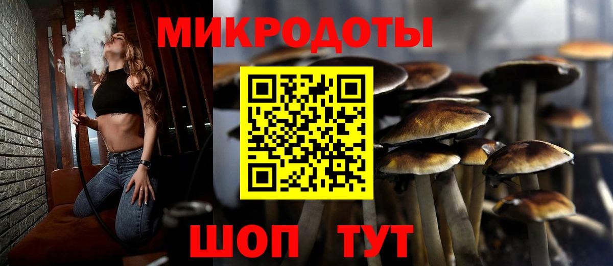 Кушва  Псилоцибиновые грибы MAGIC MUSHROOMS  Вход с VPN 